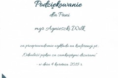 CKE-Leszczyny-Czerwionka-2018-prelegent